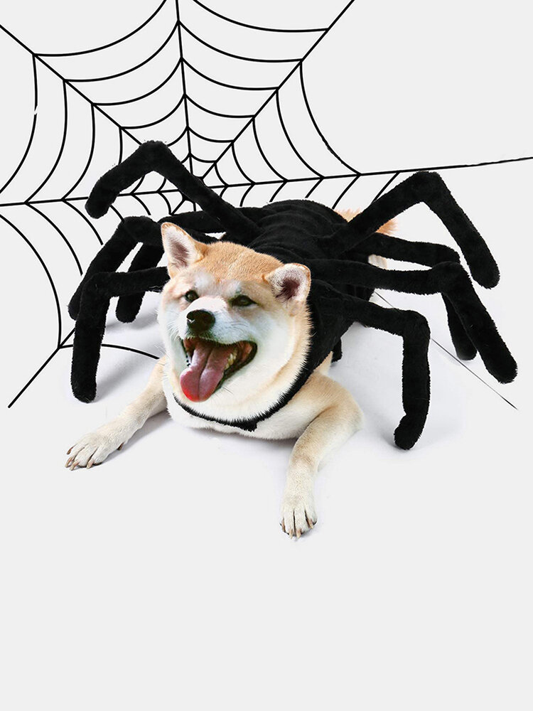 

Pet Halloween Funny Spider Chest Back Creative Cat Dog Small Dog Transformation Costume, Black