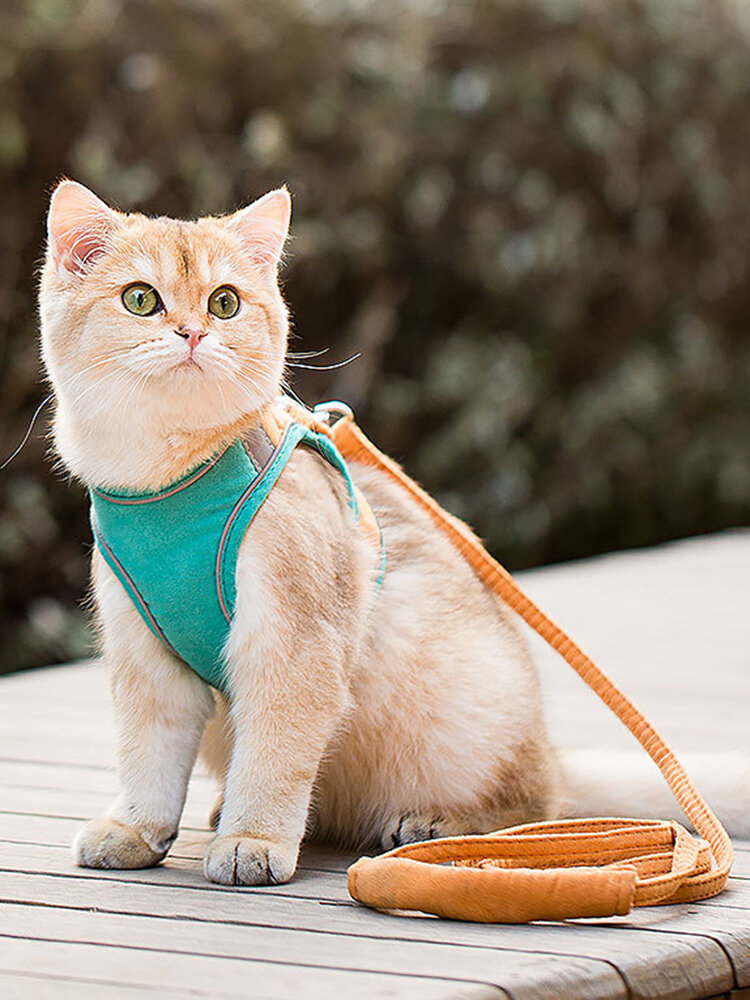 

1PC Cat Dog Escape Proof Vest Harness and Leash Set Reflective Pet Outdoor Walking Collar Leash, Orange;blue;pink