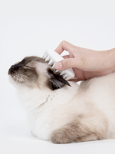 PETKIT Pet Cat Grooming Massage Device Brush من مشط السيليكون مع مطاط Soft