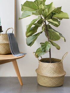 Handmade Seagrass Woven Storage Basket
