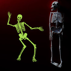 Night Light Skeleton Halloween Ghost