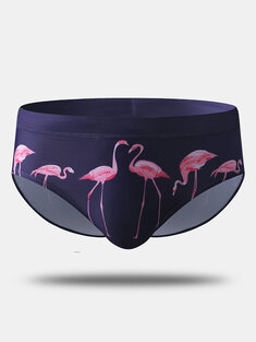 Flamingos Hawaii Cute Swim Briefs-10097