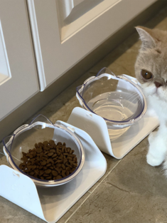 Cat Bowl Protection Cervical Spine Oblique Mouth Single Bowl Cat Food Bowl Cat Food Bowl Tilt Cat Pet Bowl