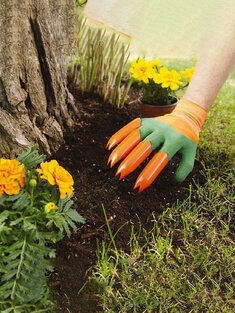 قفازات حديقة عملية أخضر مع 4 مخالب سهلة الزراعة متينة وآمنة لقفازات تقليم الورد قفازات الحديقة