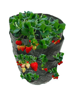 Strawberry Planting Bag Hanging Basket Family Garden Creative Hanging Flower Pot