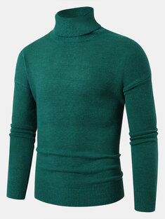 Turtleneck Rib Knit Basics Sweaters