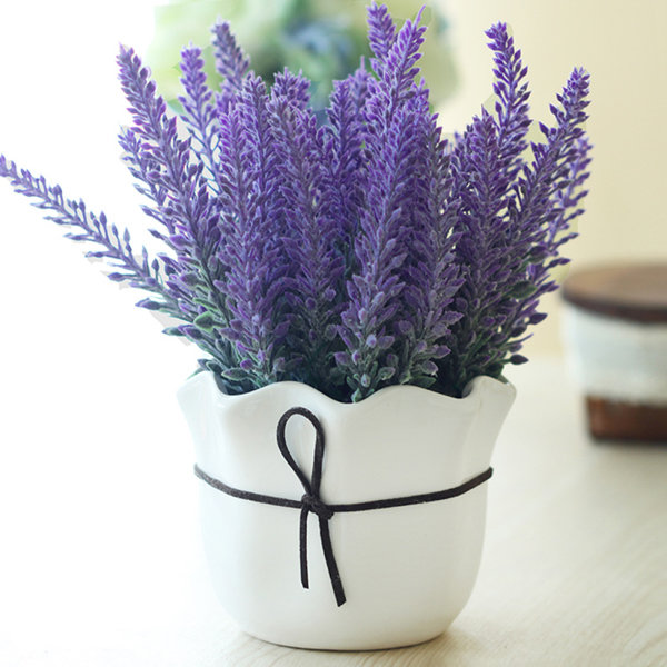 

200Pcs Provence Lavender Seeds