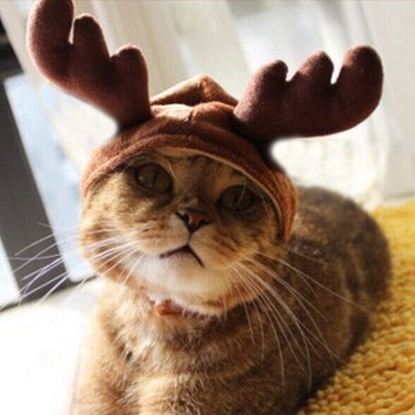 Christmas Costume Pet Cat Doggy Antlers Cap Hat Pet Clothes