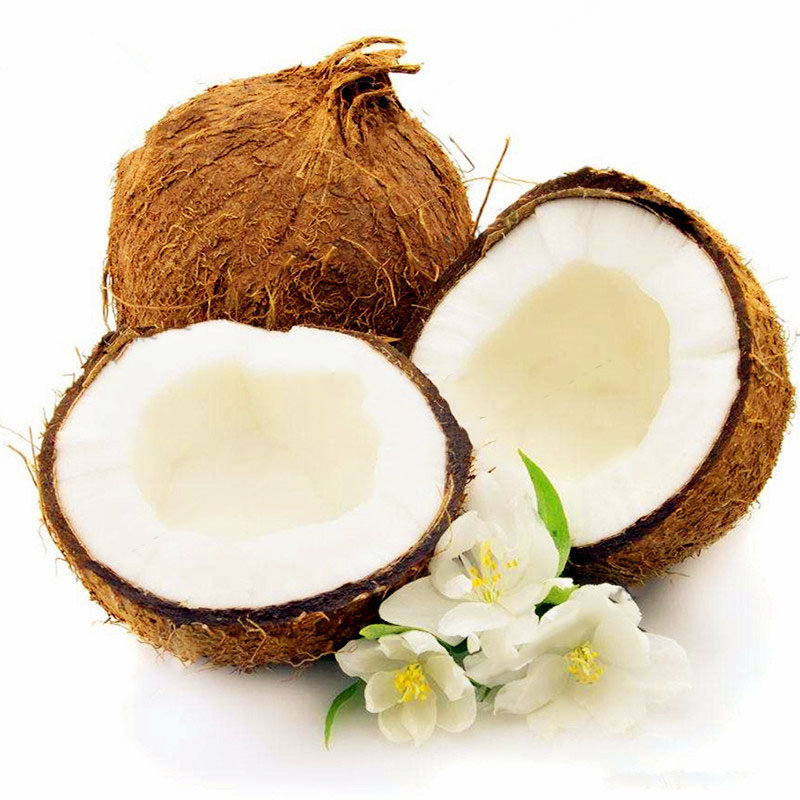

Egrow 10Pcs/Bag Coconut Tree Seeds Perennial Bonsai Juicy Fruit Plants for Home and Garden Planting