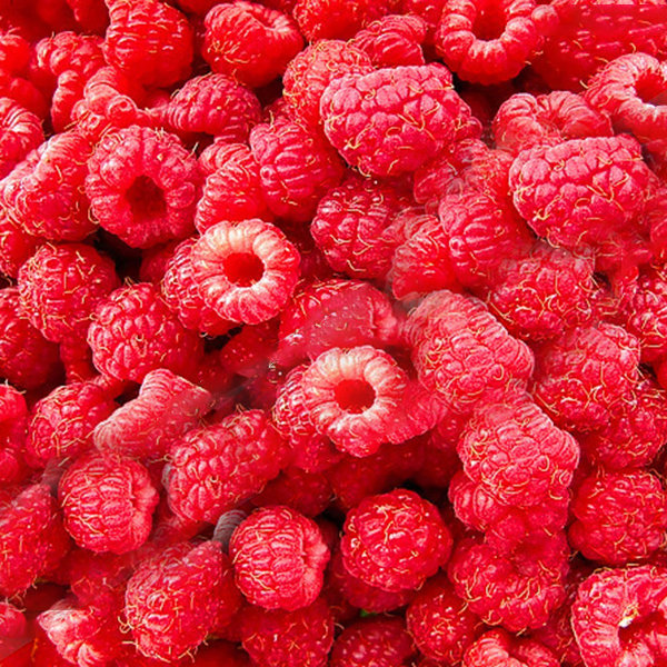 

Egrow 4000 Pcs/Pack Mixed Color Raspberry Seeds