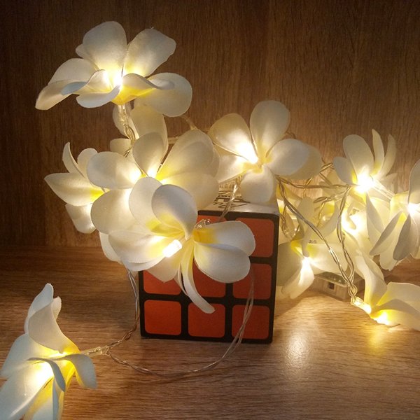 

Battery Powered  5M Frangipani Shaped Warm White Fairy String Light for Christmas Party