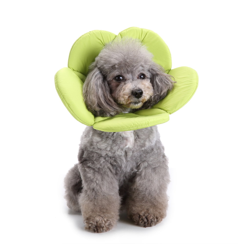 

Green Soft Sponge Flower Shape Dog Cat Collar Pet Circle Wound Healing Medical Anti-Bite Collar