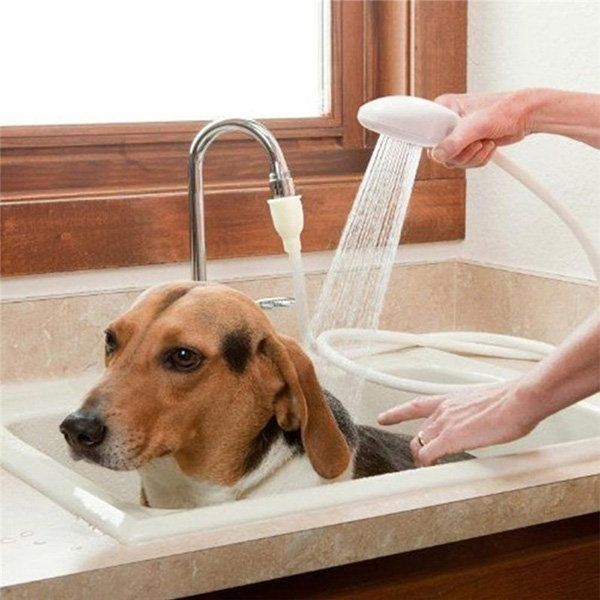 pet shower