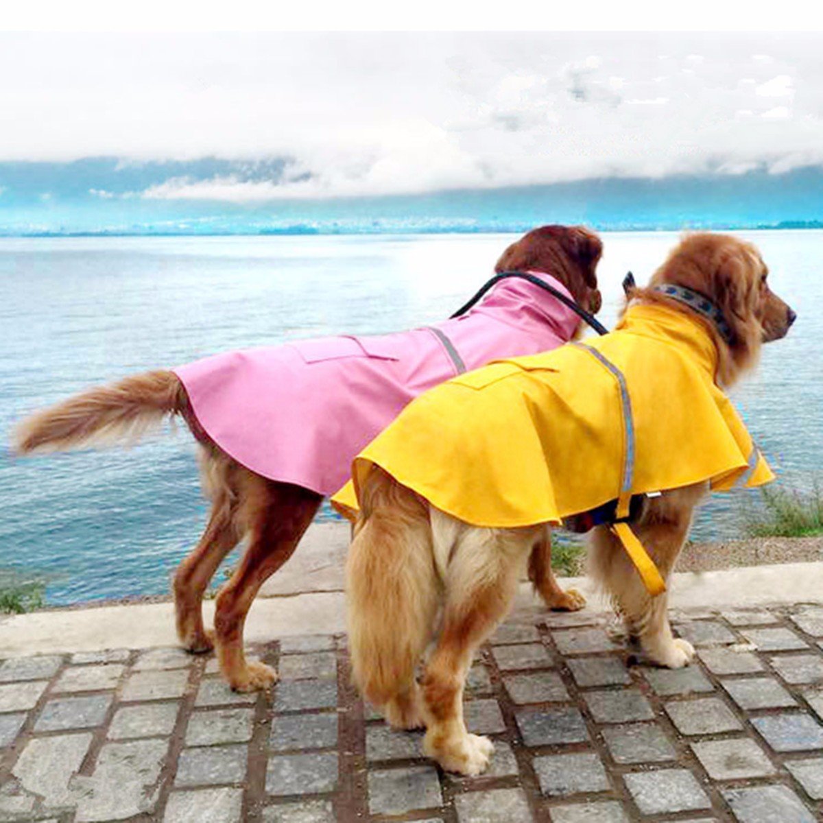 Xxl Dog Rain Coat Pet Jacket Puppy Outdoor Clothes Waterproof Coat