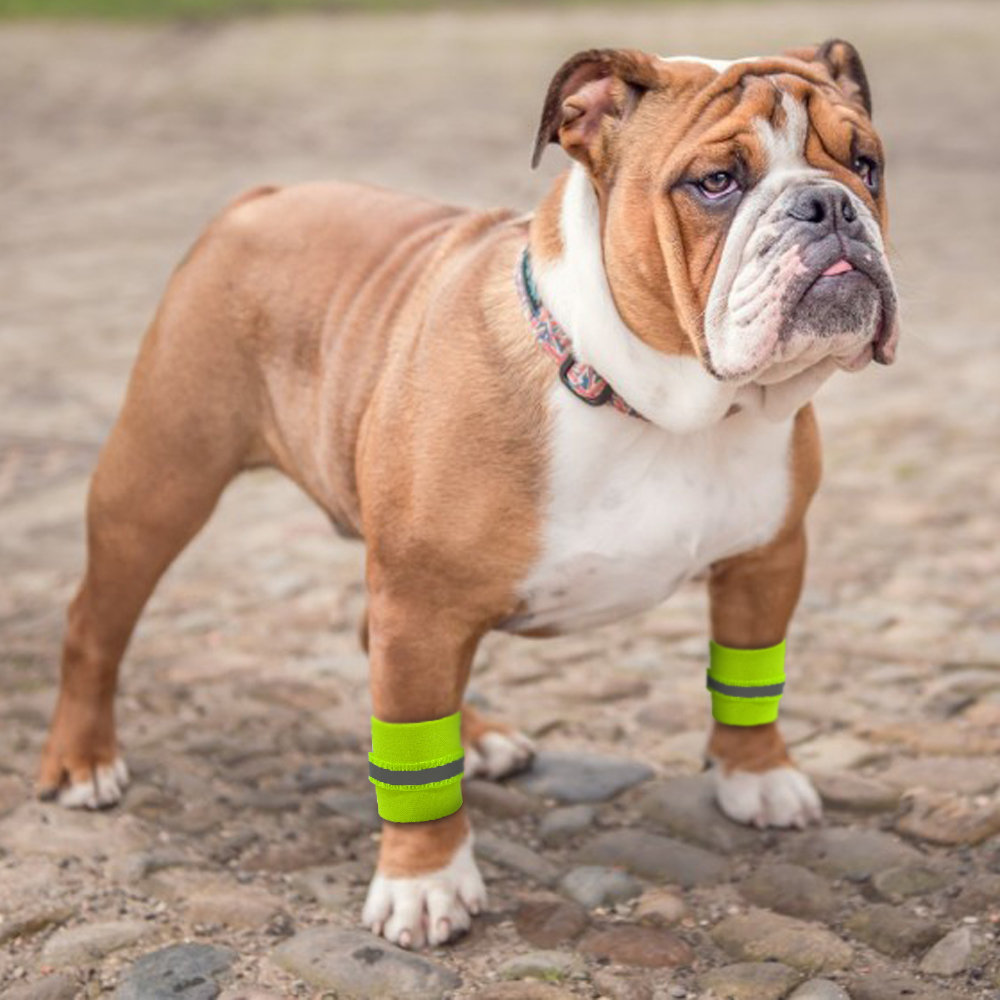 2pcs Reflective Safety Wrist Band For Dog Pets Safety Leg Wraps