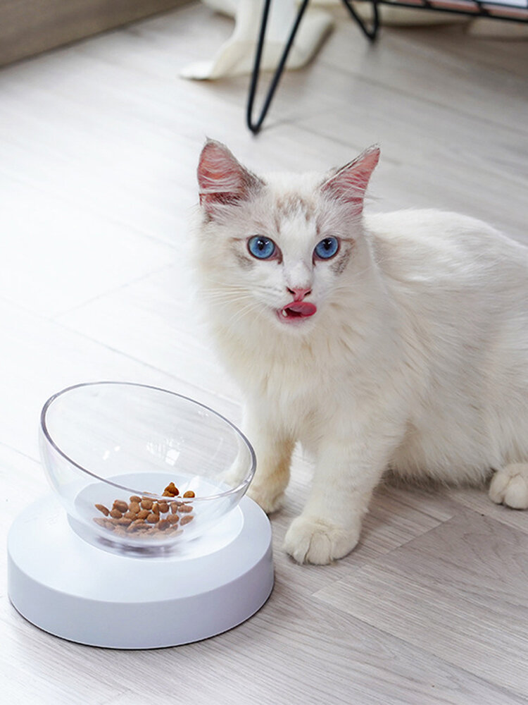 

Adjustable Cat Single Bowl Comfortable Eating Oblique Transparent Cat Food Bowl, White