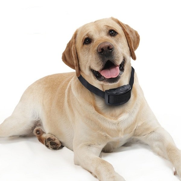 

Anti-Bark No Bark Electric Vibration Adjustable Dog Pet Electronic Training Collar