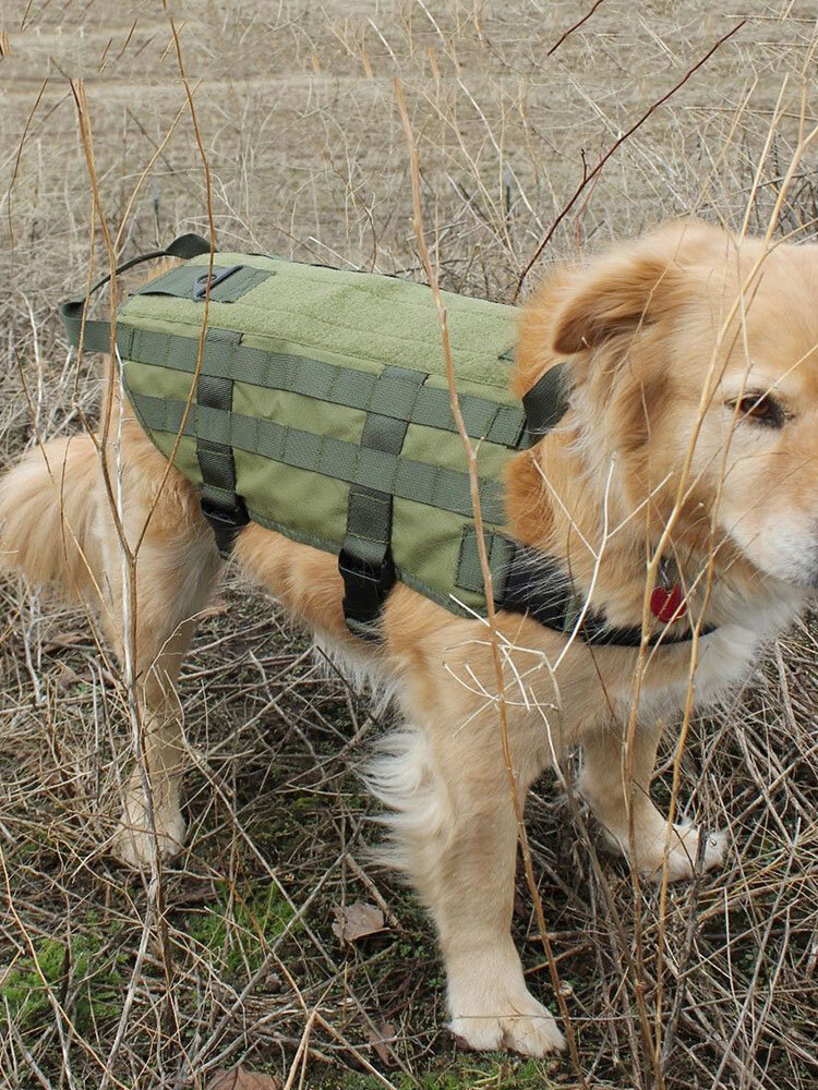 Tactical Dog Vest Harness with Mesh Padding and Two Handles Dog Vest Adjustable Waterproof Heavy Duty Nylon
