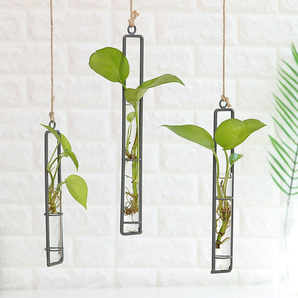 

Creative Iron Glass Vase Living Room Wall Decorations Water Sprinkler Green Vegetables Container