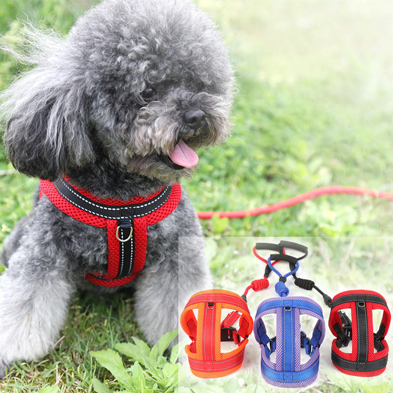 New Pet Dog Cat Mesh Breathable Comfortable Strap Traction Rope Adjustable Rope Buckle Dog Chain