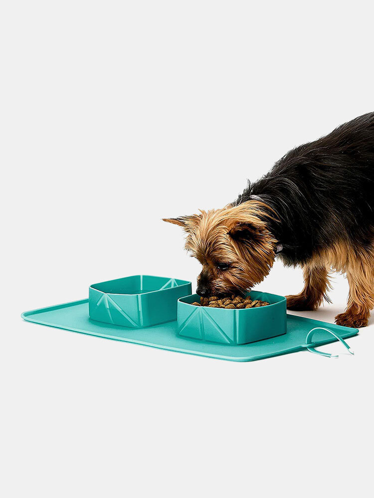 1 PC Pet Dog Travel Bowls Silicone Pliant Pet Bowl Antidérapant Chat Double Bol Flanelle Sac Extérieur Pet Portable
