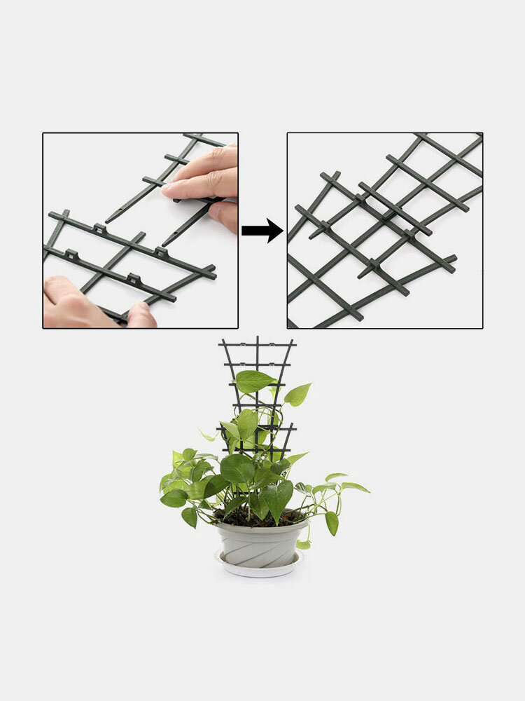 4 X Small-Pianta Supporto Rack da giardino in plastica Traliccio Fiore VITI Arrampicata Stand 
