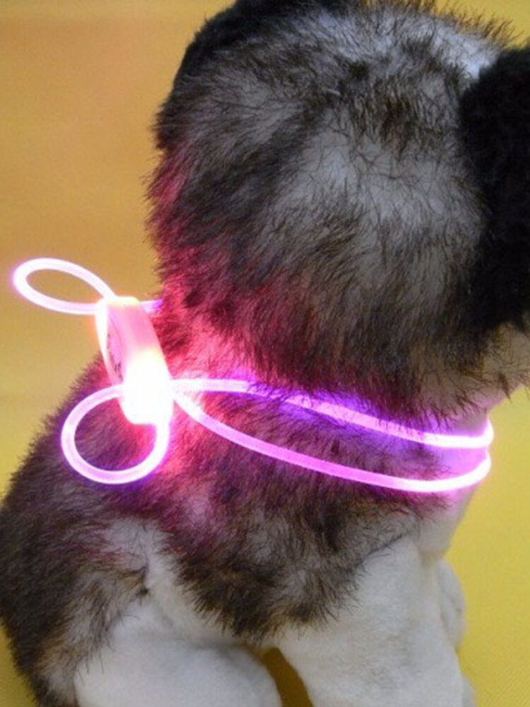 Dog LED  Adjustable Personalised Collar Polyester Pet Light-up Flashing Glow Safety 