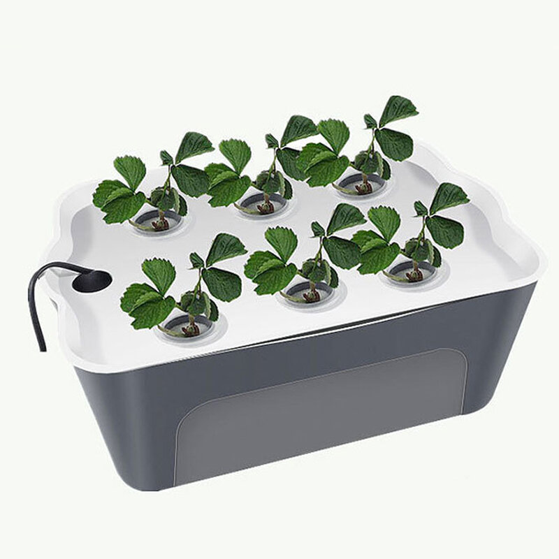 

Household 6 Holes Hydroponic Vegetable Seedling Box Soilless Cultivation Equipment Automatic Artifact Flowerpot