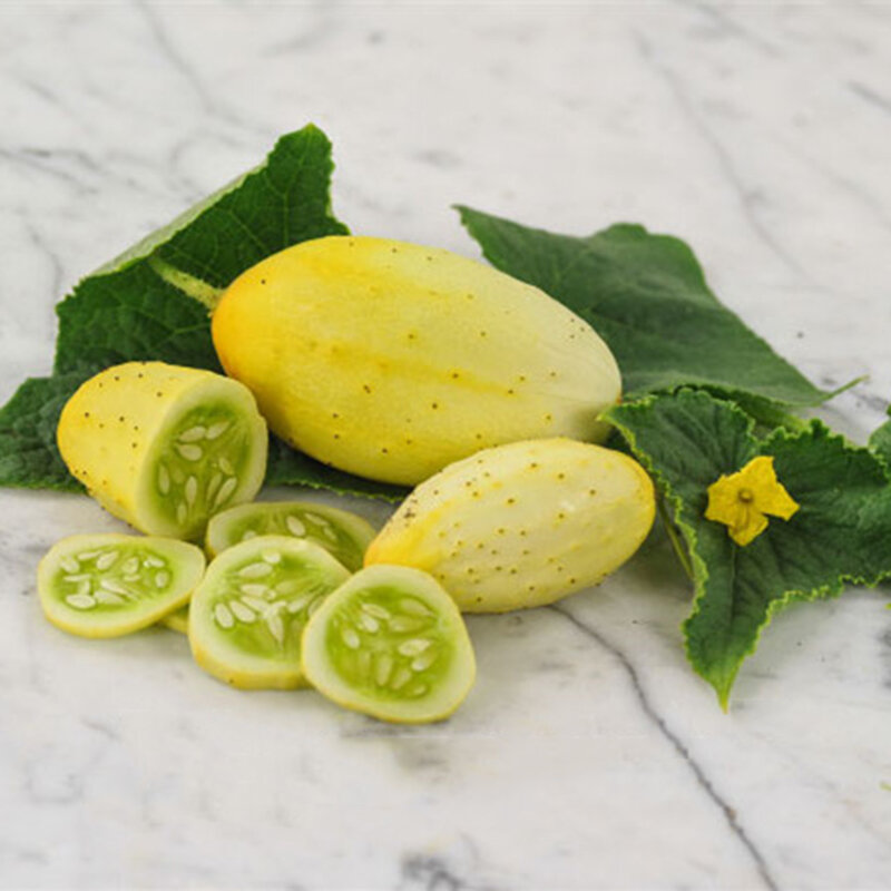 

Egrow 100 Pcs/Pack Mexican Sour Gherkin Seeds Cucumber Vegetable Plants