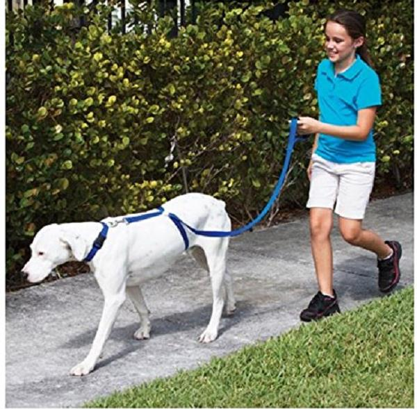 Pet Dog Blue Trainer Dog Leash Trains Dogs Stop Pulling Leash Rope