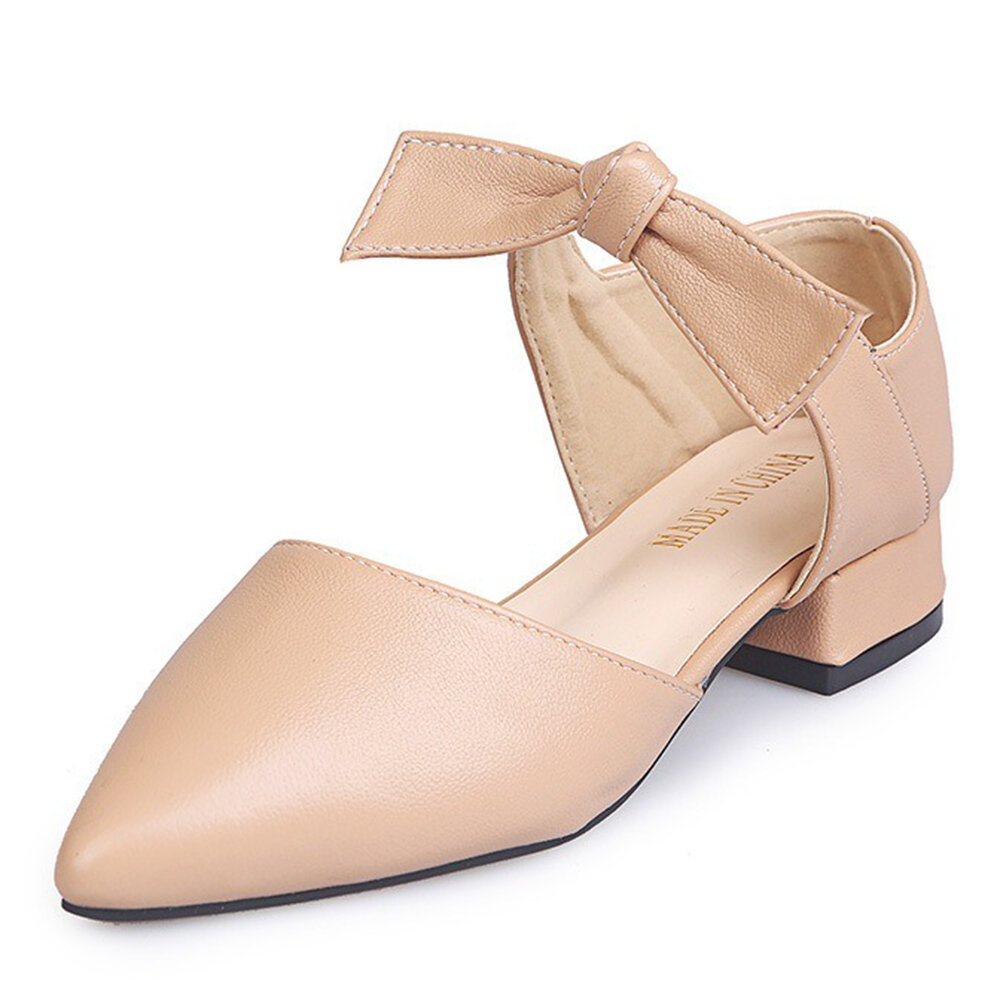 Bowknot Pointed Toe Low Heel Pumps