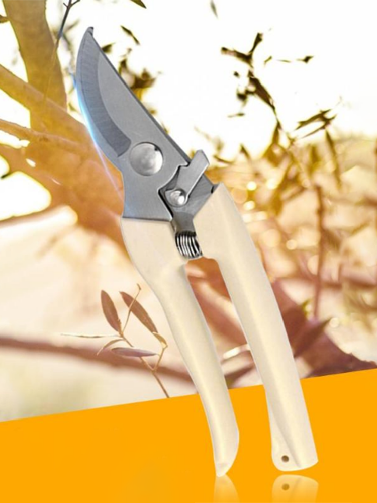 Нескользящие садовые ножницы для обрезки фруктовых деревьев Ножницы для обрезки бонсай Секаторы садовые ножницы