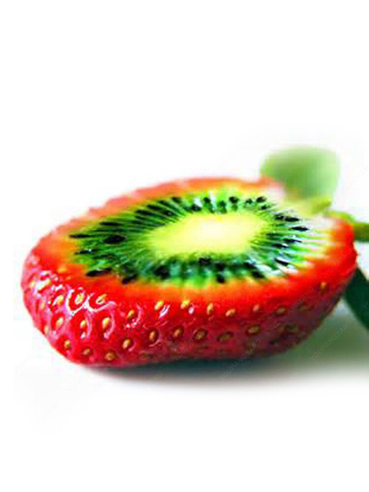 

100pcs Rare Strawberry Kiwi Seeds Organic Sweet Fruit Seeds Perennial Garden Fruit Bonsai