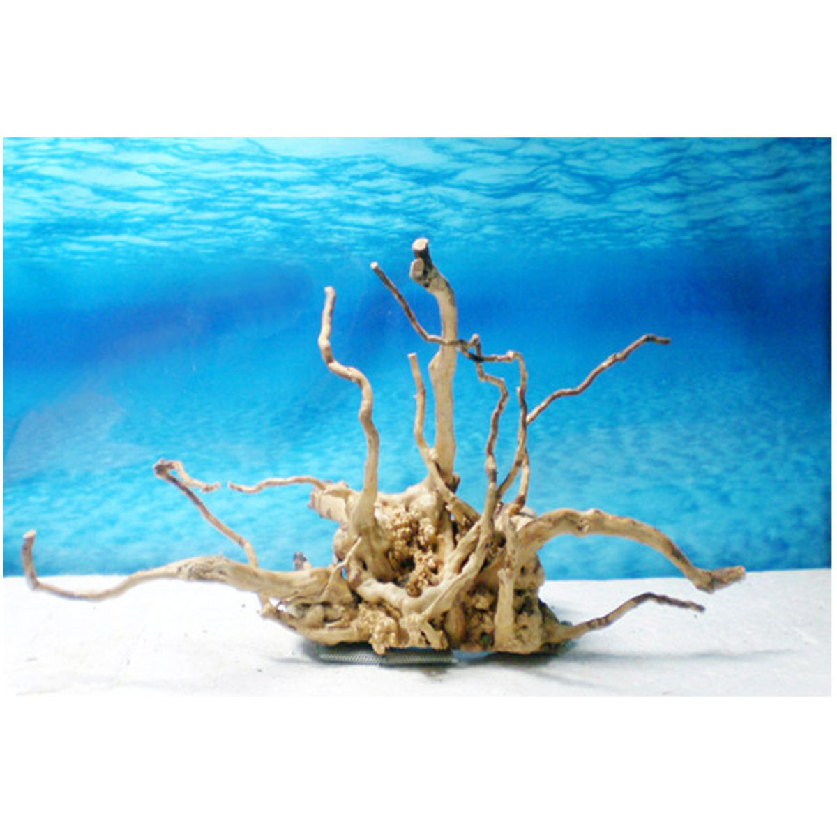 Driftwood Root Natural Aquarium Decoration Tree Trunk Fish Log Stump Cuckoo