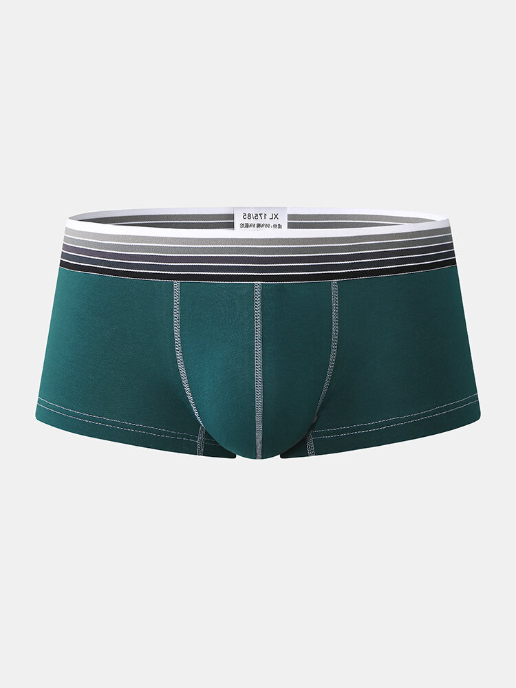 

Cozy Plain Low Rise Pouch Underwear Sexy Breathable Mini Boxer Briefs for Men, White;black;blue;green