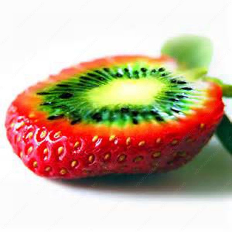 

100pcs Rare Strawberry Kiwi Seeds Organic Sweet Fruit Seeds Perennial Garden Fruit Bonsai