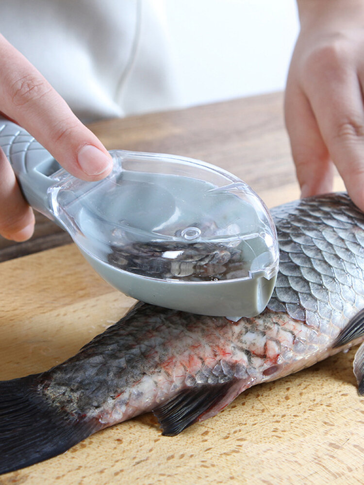 أداة إزالة قشور الأسماك مع مكشطة موازين المطبخ المغطية كتيب أداة مقياس السمك