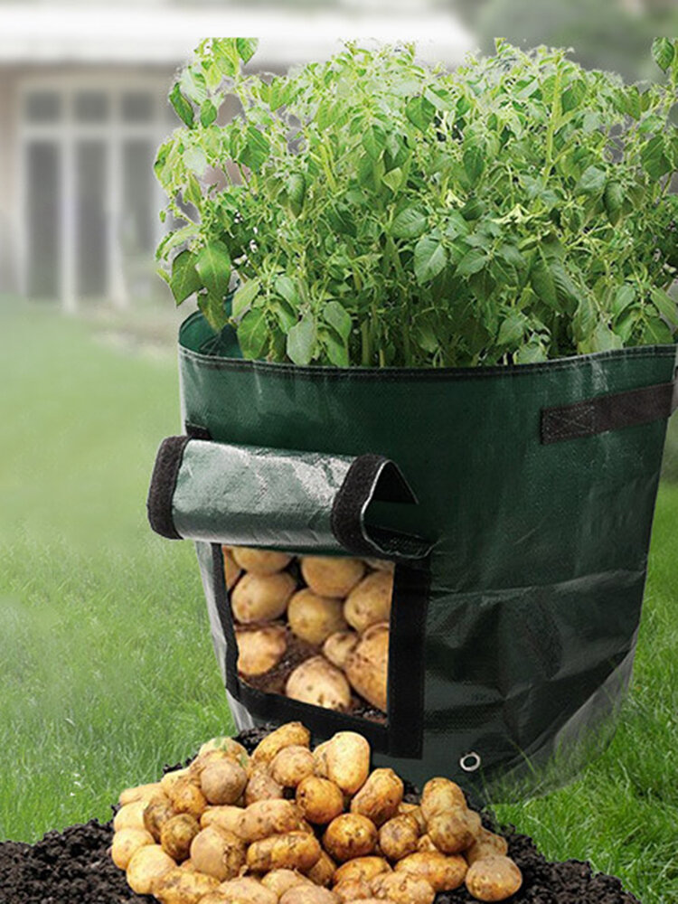 Potato Tomato Plant Bags Pouch Root Vegetable Carrot Outdoor PE Flower Grow Pots 