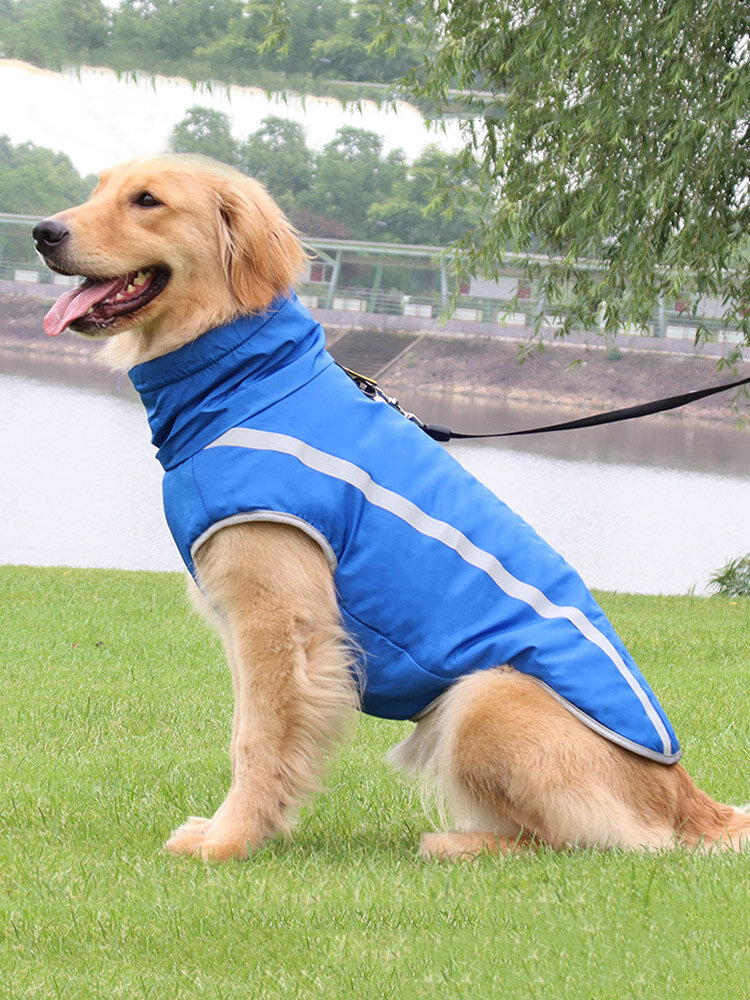 

Pet Dog Reflective Night Windproof Warm Clothing Puppy Night Safety Vest, Blue;red;yellow;rose red