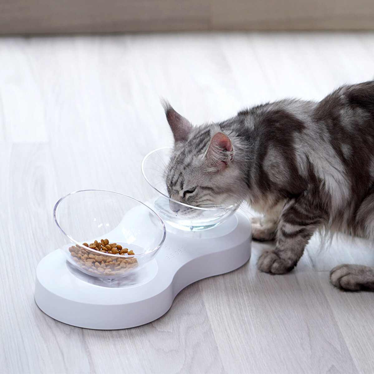 

Adjustable Cat Bowl Designed for Cats Pet Bowl Drinking Cat Food Bowl Oblique Transparent Cat Double Bowl, White