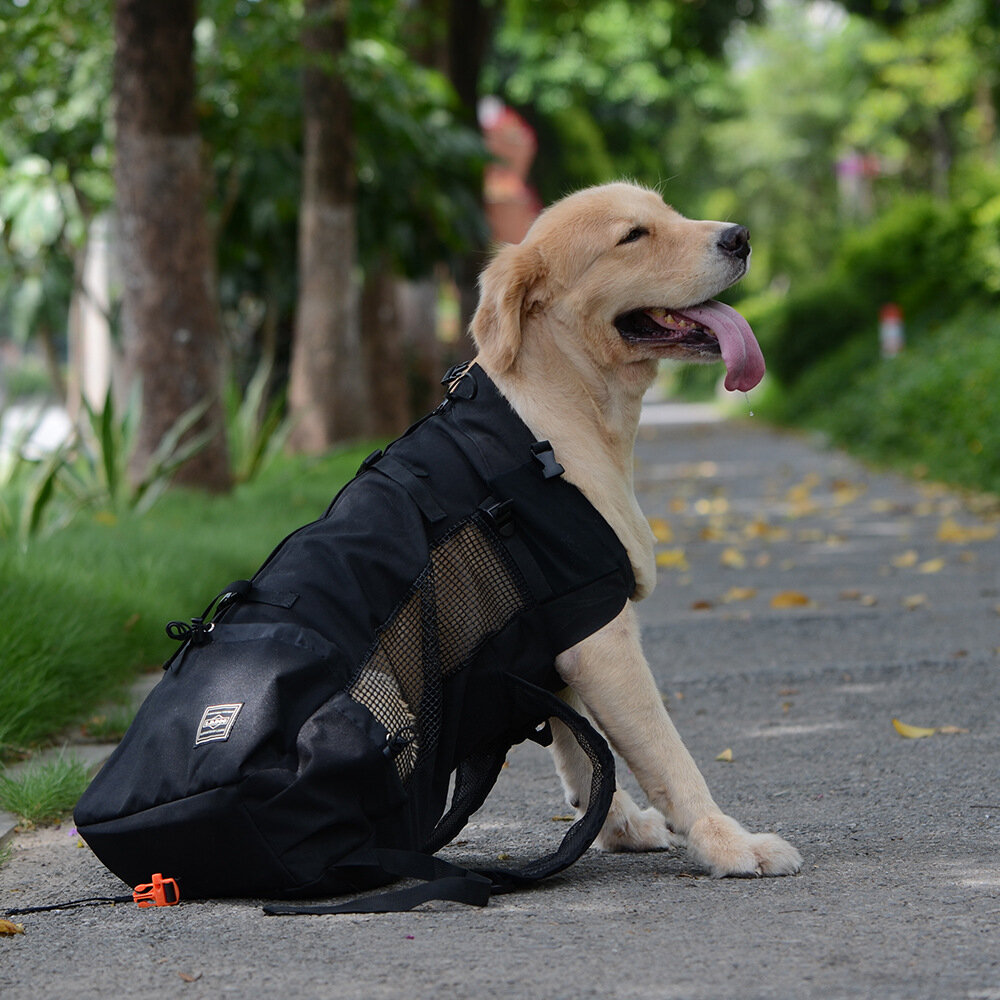 Pet Shoulder Traveler Backpack Dog Outcrop Ventilation Breathable Washable Bicycle Outdoor Backpack
