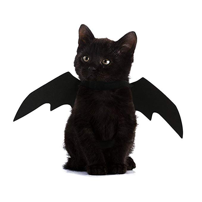 Halloween Pet Dog Cat Bat Wings Costume Black Pet Puppy Kitten Clothing