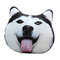 القطيفة ثلاثية الأبعاد مطبوعة Samoyed Husky Doge Doge وسادة رمي ألاسكا الكلب وسادة - ج