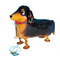Palloncini per animali domestici da passeggio Palloncini per bambini Regali per bambini Palloncini con stagnola animale - #3
