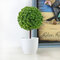 Office Decorative Trees Potted Plant Pot Pot Pot Décoratifs Décoration - vert