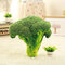 KCASA KC Creative Simulation Vegetable Pillow Broccoli Potatoes Chinese Cabbage Cushions Plush Toy - #4