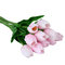 10 पीसीएस नकली कृत्रिम सिल्क ट्यूलिप फ्लोरस कृत्रिम गोक्केट पार्टी कृत्रिम फूल - गुलाबी