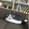 3D creativo PP algodón lindo Gato almohada de felpa respaldo cojín de impresión regalo de cumpleaños truco juguetes - UN