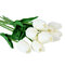 10 पीसीएस नकली कृत्रिम सिल्क ट्यूलिप फ्लोरस कृत्रिम गोक्केट पार्टी कृत्रिम फूल - सफेद
