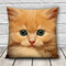 3D Cute Expressions Cats Throw Pillow Cases Sofa Office Car Cushion Cover Gift - B